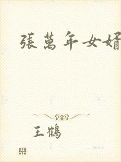 《张万年女婿》小说封面