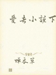 爱去小说下载网
