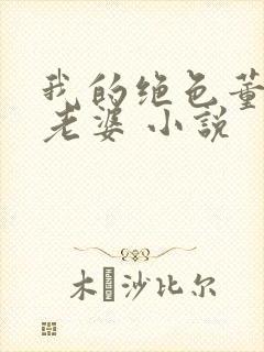 我的绝色董事长老婆 小说