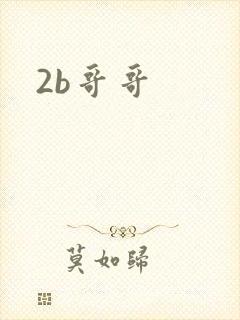 2b哥哥