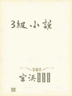 3级小说