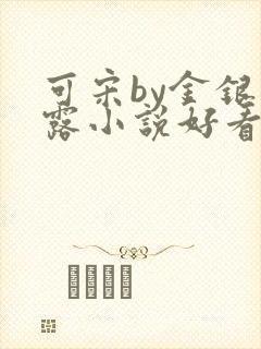 可宋by金银花露小说好看吗