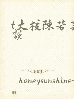 t大校陈若芸小说