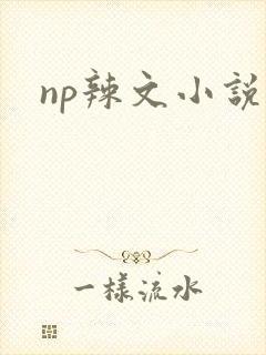 np辣文小说