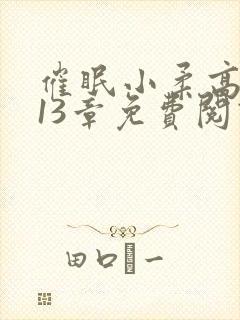 催眠小柔高达第13章免费阅读