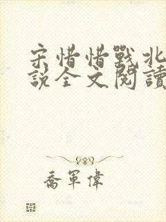 宋惜惜战北望小说全文阅读