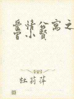 爱情公寓之极品曾小贤