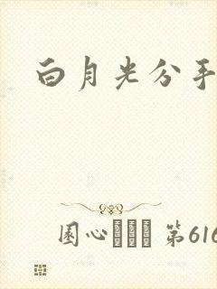 白月光分手日常