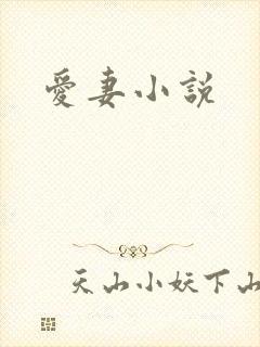 爱妻小说