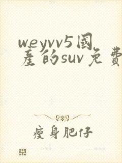 weyvv5国产的suv免费