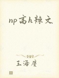 np高h辣文