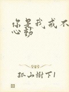 你是我戒不掉的心动