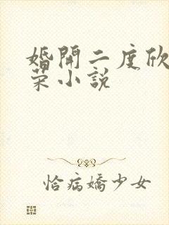 婚开二度欣欣向荣小说