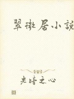 翠微居小说封面