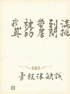 我被带到满是玩具的房间挑调作文