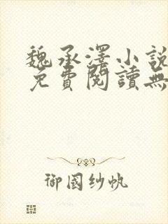 魏承泽小说全文免费阅读无弹窗笔趣