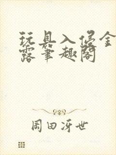 玩具入侵金银花露笔趣阁