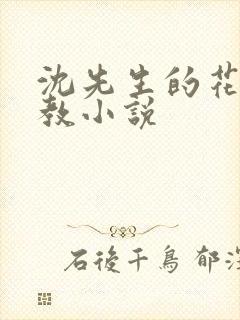 沈先生的花式调教小说