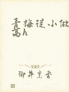 青梅从小做到大高h
