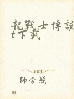 龙战士传说txt下载