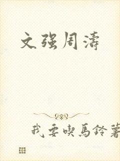 文强周涛