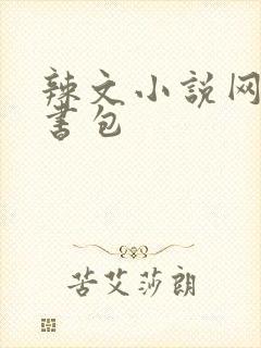 辣文小说网第二书包