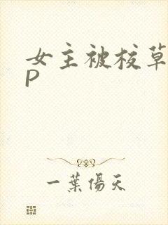 女主被校草们NP