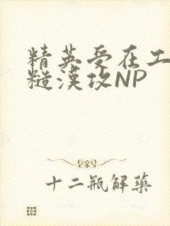 《精英受在工地被糙汉攻NP》小说封面