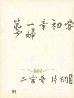 第一章初尝极品少妇