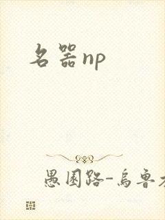 名器np