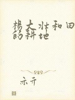 杨大壮和田桂花的耕地