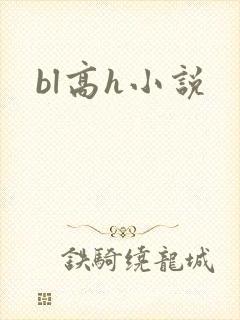 bl高h小说