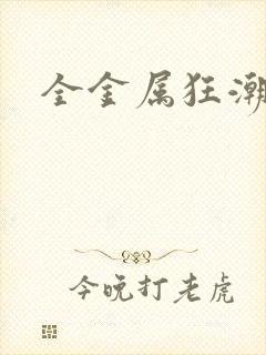 全金属狂潮小说