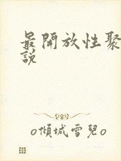 最开放性聚会小说