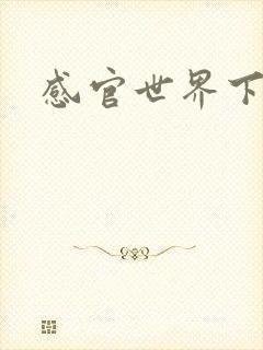 感官世界下载