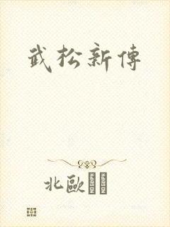 武松新传