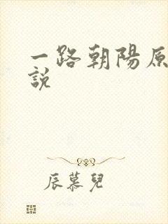 一路朝阳原著小说