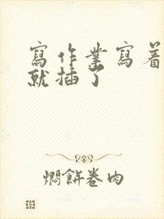 写作业写着写着就插了