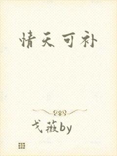 情天可补