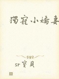 独宠小娇妻