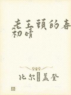 老王头的春天林初晴