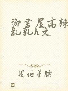 御书屋高辣h文乱乳h文