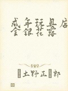 成年玩具店by金银花露