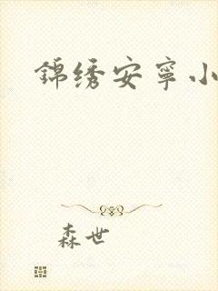 锦绣安宁小说