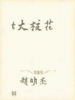 t大校花