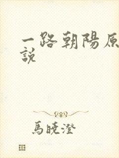 一路朝阳原著小说