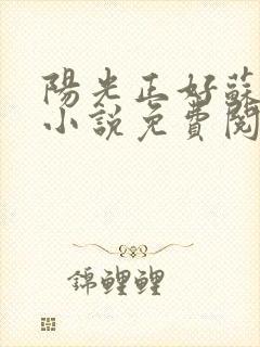 阳光正好苏玥玥小说免费阅读