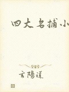 四大名捕小说