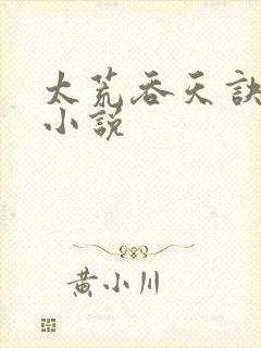 太荒吞天诀免费小说