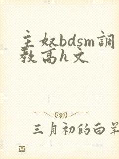 主奴bdsm调教高h文